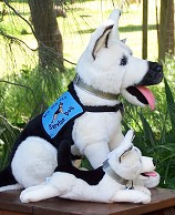 Rin Tin Tin, Service Dog